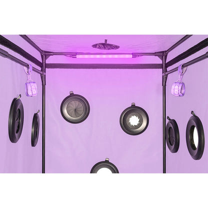 SECRET DOME - KINK CLUB CABIN SCANDALE LILA