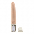 Bild 6 von Push It Vibrator