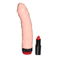 Bild 1 von Vibrator 