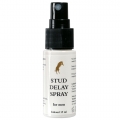 Bild 1 von Stud Delay Spray