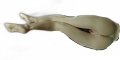 Bild 6 von Torso Halb Körper Masturbator Lange Beine + Füße Vagina Anal Muschi Torso 6,7 KG  / (Größe) 60cm