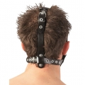 Bild 4 von Leder Kopfgeschirr Dildo